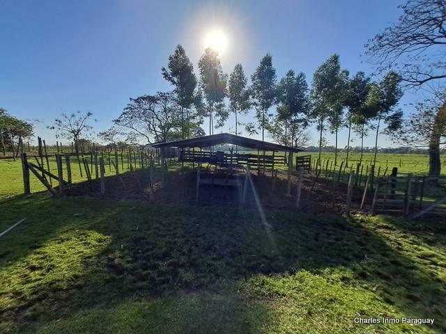 EN VENTA PROPIEDAD RURAL ZONA LA COLMENA 10 HAS #167