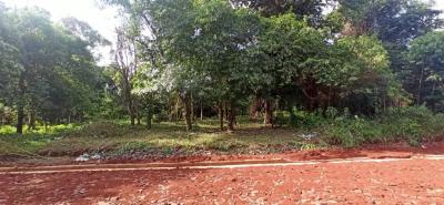 VENDO TERRENO OFERTA!