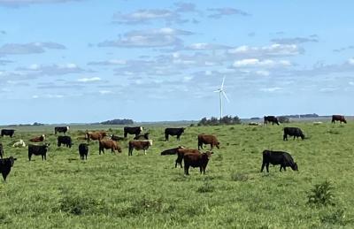 Campo en venta en Florida Uruguay