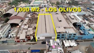 OCASIÓN VENDO LOCAL INDUSTRIAL DE 1,000 M2 EN LOS OLIVOS