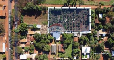 EN VENTA 5 TERRENO JUNTOS TOTALMENTE AMURALLADO CON POZO ARTESIANO, KM 10 ACARAY 