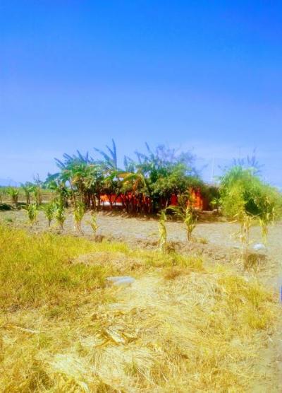 Terreno en Pimentel 1200 m2