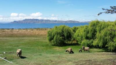 ¡Hermoso terreno a orillas del LAGO TITICACA!