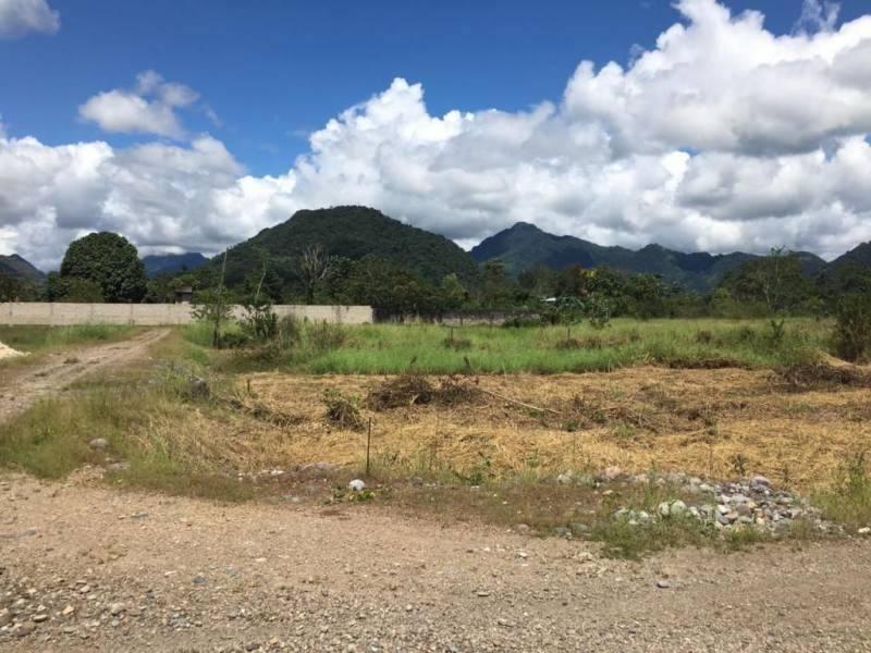 Venta de Terrenos en Naranjillo - Luyando - Tingo Maria