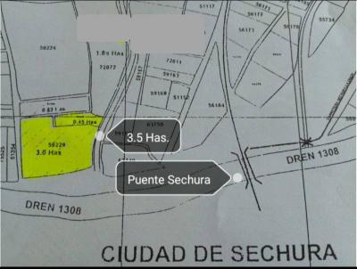Ocasión: Se venden 3.5 hectáreas agrícolas en Sechura - Piura.