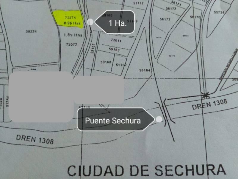 Ocasión: Se vende 1 hectárea agrícolas en Sechura - Piura