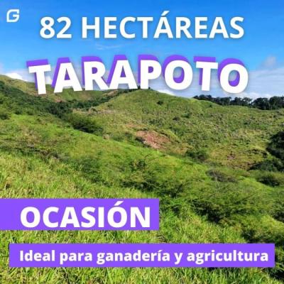 Terrenos 82 Hectáreas En Tarapoto - Lamas