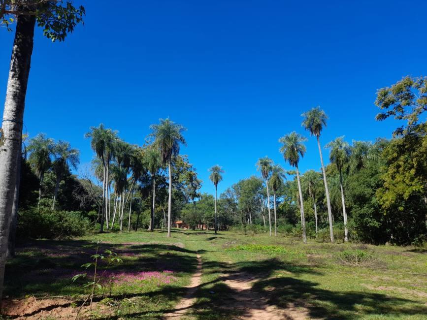 Terreno En Venta En San Ber