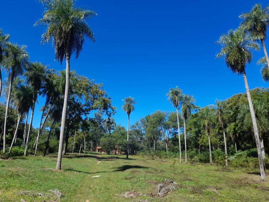 Terreno En Venta En San Ber