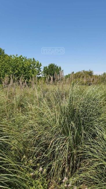 Terreno en venta en Benavidez, Tigre