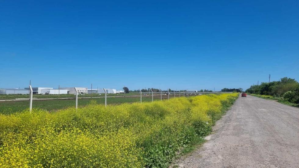 Terreno en venta en Abasto, La Plata