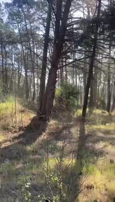 Terreno en venta en Carilo