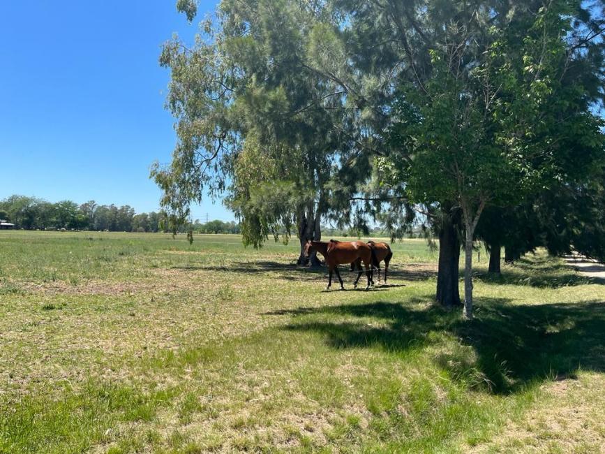 Terreno en venta en Pilar