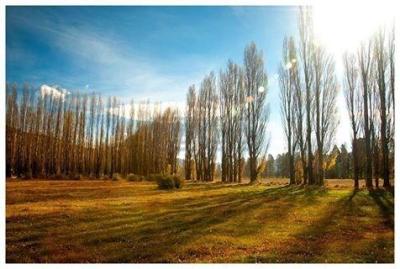 Terreno en venta en Dos Valles, Bariloche