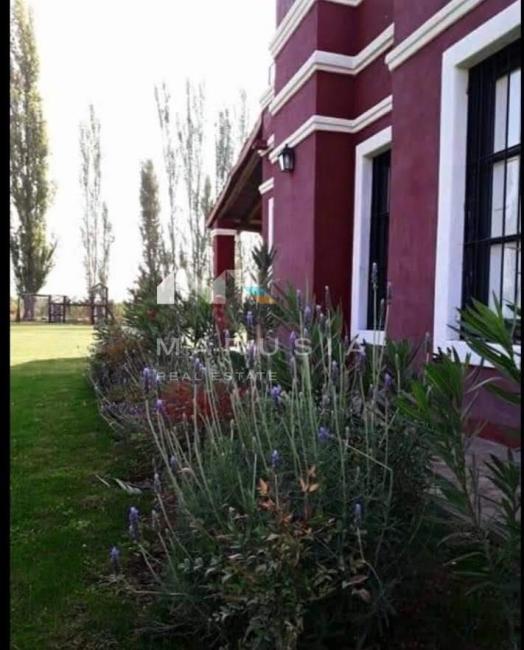 Casa 5 dormitorios en venta en Trapiche, Mendoza Capital