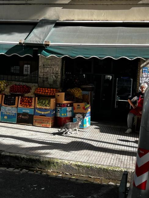 Local en alquiler en Palermo Chico, Ciudad de Buenos Aires