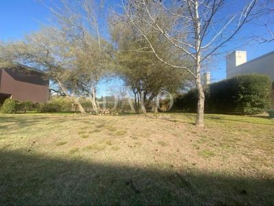 Terreno en venta en Juan Maria Gutierrez, Berazategui
