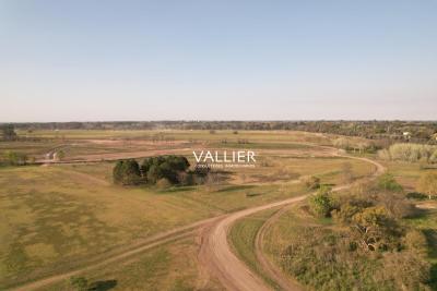 Terreno en venta en Pilara, Pilar