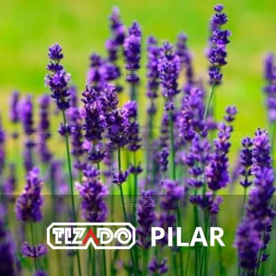 Terreno en venta en La Estela, Pilar