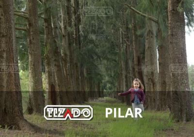 Terreno en venta en La Estela, Pilar