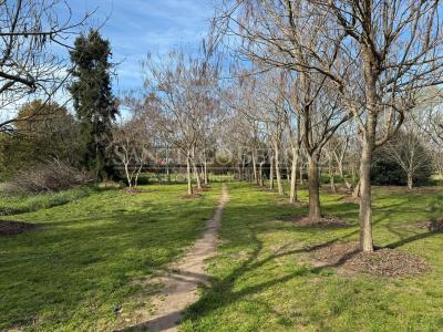 Casa 5 dormitorios en venta en Los Cardales, Exaltacion de la Cruz