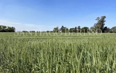 Terreno en venta en Zarate