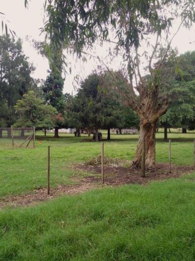 Terreno en venta en Mar Del Plata, General Pueyrredon