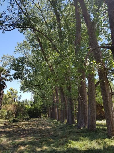 Terreno en venta en Pilar