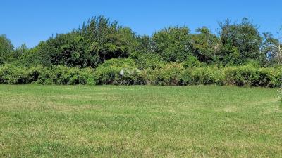 Terreno en venta en Carmelo