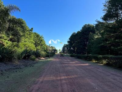 Departamento en venta en Carmelo