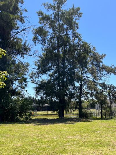 Terreno en venta en Villanueva, Tigre