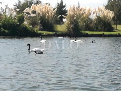 Departamento 1 dormitorios en venta en Nordelta, Tigre