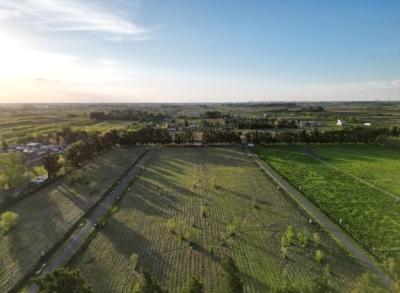 Terreno en venta en Arana, La Plata