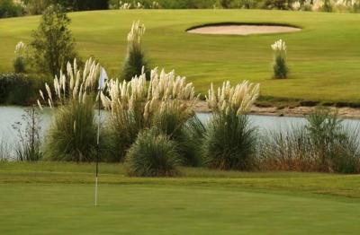 Terreno en venta en El Golf, Carmelo