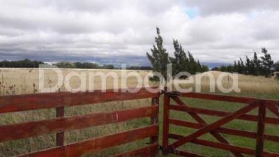 Terreno en venta en Punta Indio