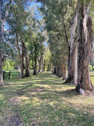 Terreno en venta en Pilar