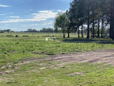 Terreno en venta en Pilara, Pilar