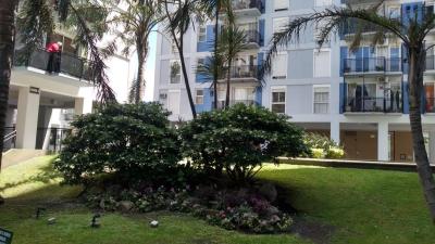 Departamento 1 dormitorios en alquiler en Villa del Parque, Ciudad de Buenos Aires