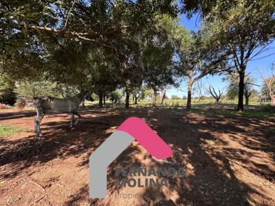 Terreno en venta en Diego Gaynor, Exaltacion de la Cruz
