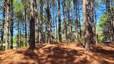 Terreno en venta en Carmelo