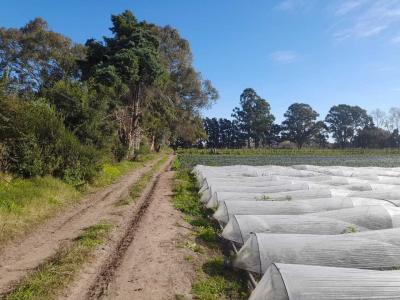 Terreno en venta en Pilar