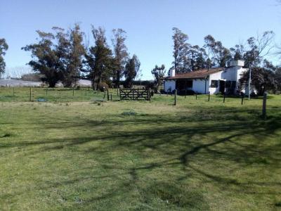 Terreno en venta en Mar Del Plata, General Pueyrredon