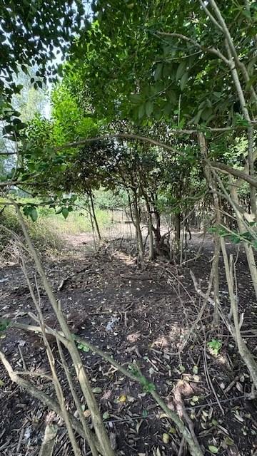 Terreno en venta en Parque Jularo, Exaltacion de la Cruz