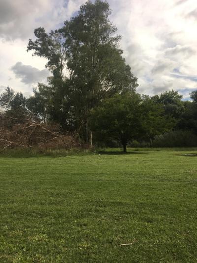 Terreno en alquiler en Manzanares, Pilar