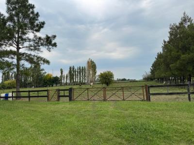 Terreno en venta en Haras el Malacate, Exaltacion de la Cruz
