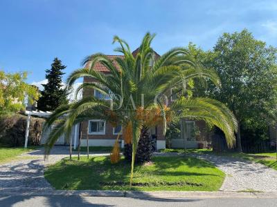 Casa 3 dormitorios en alquiler en Nordelta, Tigre