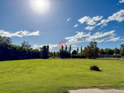 Terreno en venta en San Joaquin, Exaltacion de la Cruz
