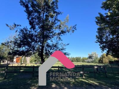 Terreno en venta en Haras el Malacate, Exaltacion de la Cruz