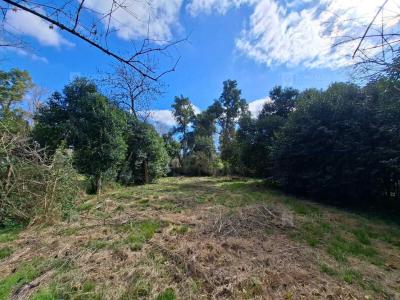 Terreno en venta en La Lonja, Pilar