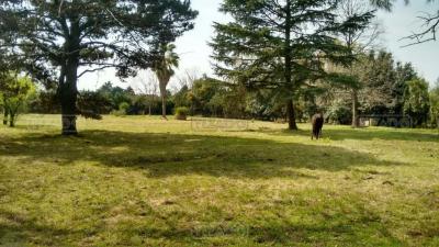 Terreno en venta en Pilar, Pilar